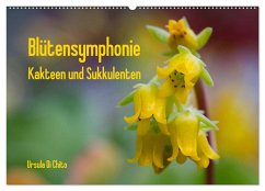 Blütensymphonie - Kakteen und Sukkulenten (Wandkalender 2024 DIN A2 quer), CALVENDO Monatskalender