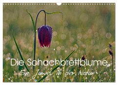 Die Schachbrettblume (Wandkalender 2024 DIN A3 quer), CALVENDO Monatskalender