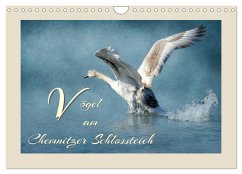 Vögel am Chemnitzer Schlossteich (Wandkalender 2024 DIN A4 quer), CALVENDO Monatskalender