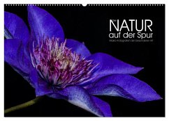 Der Natur auf der Spur - Makro-Fotografien der besonderen Art (Wandkalender 2024 DIN A2 quer), CALVENDO Monatskalender