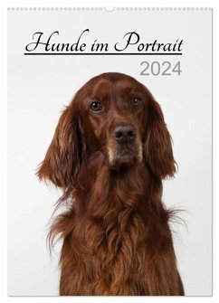 Hunde im Portrait (Wandkalender 2024 DIN A2 hoch), CALVENDO Monatskalender