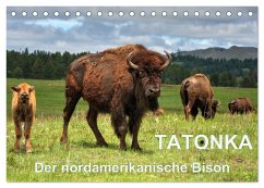 TATONKA Der nordamerikanische Bison (Tischkalender 2024 DIN A5 quer), CALVENDO Monatskalender