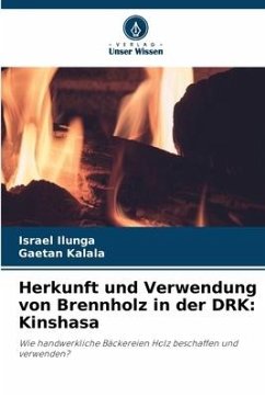 Cover Herkunft und Verwendung von Brennholz in der DRK: Kinshasa
