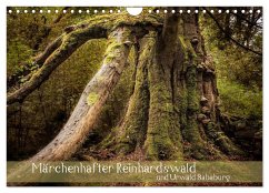 Märchenhafter Reinhardswald und Urwald Sababurg (Wandkalender 2024 DIN A4 quer), CALVENDO Monatskalender - Pohl, Michael