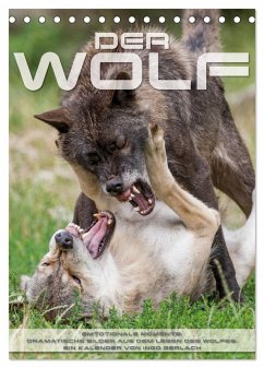 Emotionale Momente: Der Wolf. (Tischkalender 2024 DIN A5 hoch), CALVENDO Monatskalender
