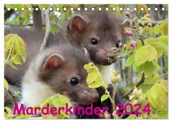 Marderkinder (Tischkalender 2024 DIN A5 quer), CALVENDO Monatskalender - Nixe