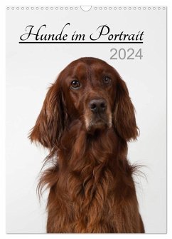 Hunde im Portrait (Wandkalender 2024 DIN A3 hoch), CALVENDO Monatskalender - Bollich, Heidi