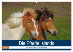 Die Pferde Islands - Ein Streifzug durch Island (Wandkalender 2024 DIN A2 quer), CALVENDO Monatskalender