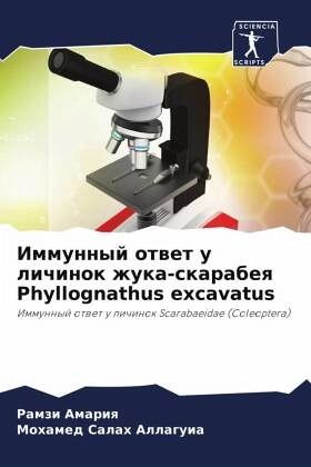 Immunnyj otwet u lichinok zhuka-skarabeq Phyllognathus excavatus Immunnyj otwet u lichinok zhuka-skarabeq Phyllognathus excavatus