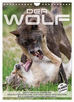 Emotionale Momente: Der Wolf. (Wandkalender 2024 DIN A4 hoch), CALVENDO Monatskalender