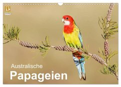 Australische Papageien (Wandkalender 2024 DIN A3 quer), CALVENDO Monatskalender