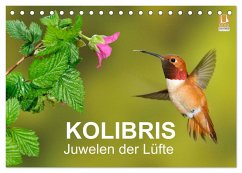 Kolibris - Juwelen der Lüfte (Tischkalender 2024 DIN A5 quer), CALVENDO Monatskalender