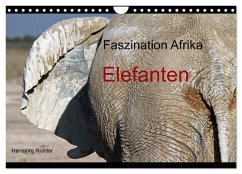 Faszination Afrika - Elefanten (Wandkalender 2024 DIN A4 quer), CALVENDO Monatskalender - Richter, Hansjörg