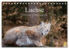 Luchse - Europas größte Katzen (Tischkalender 2024 DIN A5 quer), CALVENDO Monatskalender - Cloudtail