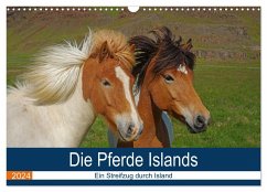 Die Pferde Islands - Ein Streifzug durch Island (Wandkalender 2024 DIN A3 quer), CALVENDO Monatskalender - Pantke, Reinhard