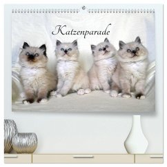 Katzenparade (hochwertiger Premium Wandkalender 2024 DIN A2 quer), Kunstdruck in Hochglanz - Chrystal, Jennifer