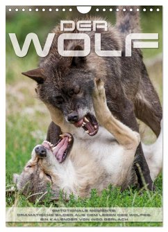 Emotionale Momente: Der Wolf. (Wandkalender 2024 DIN A4 hoch), CALVENDO Monatskalender - Gerlach, Ingo