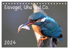 Eisvogel, Uhu und Co. (Tischkalender 2024 DIN A5 quer), CALVENDO Monatskalender