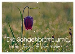 Die Schachbrettblume (Wandkalender 2024 DIN A2 quer), CALVENDO Monatskalender - Klapp, Lutz