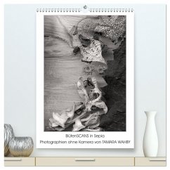 BlütenScans in Sepia, Photographien ohne Kamera von Tamara Wahby (hochwertiger Premium Wandkalender 2024 DIN A2 hoch), Kunstdruck in Hochglanz