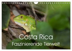 Costa Rica. Faszinierende Tierwelt (Wandkalender 2024 DIN A4 quer), CALVENDO Monatskalender