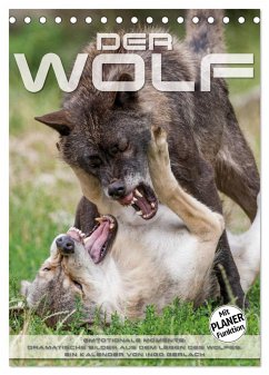 Emotionale Momente: Der Wolf. (Tischkalender 2024 DIN A5 hoch), CALVENDO Monatskalender - Gerlach, Ingo