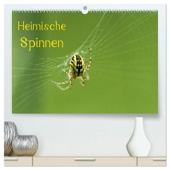 Heimische Spinnen (hochwertiger Premium Wandkalender 2024 DIN A2 quer), Kunstdruck in Hochglanz