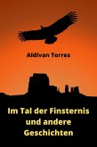 Im Tal der Finsternis und andere Geschichten (eBook, ePUB)