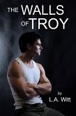 The Walls of Troy (eBook, ePUB)