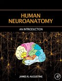 Human Neuroanatomy (eBook, ePUB)