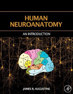 Cover Human Neuroanatomy (eBook, ePUB)