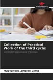Collection of Practical Work of the third cycle:
