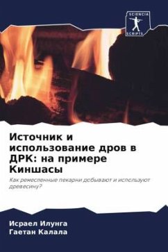 Cover Istochnik i ispol'zowanie drow w DRK: na primere Kinshasy