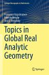 Topics in Global Real Analytic Geometry - Bild 1