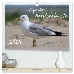 Vögel der Nordseeküste (hochwertiger Premium Wandkalender 2024 DIN A2 quer), Kunstdruck in Hochglanz - Allnoch, Jan