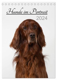 Hunde im Portrait (Tischkalender 2024 DIN A5 hoch), CALVENDO Monatskalender - Bollich, Heidi