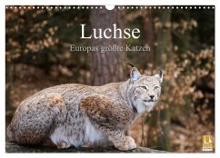 Luchse - Europas größte Katzen (Wandkalender 2024 DIN A3 quer), CALVENDO Monatskalender - Cloudtail