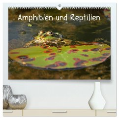 Amphibien und Reptilien (hochwertiger Premium Wandkalender 2024 DIN A2 quer), Kunstdruck in Hochglanz