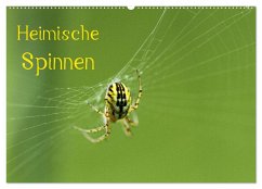 Heimische Spinnen (Wandkalender 2024 DIN A2 quer), CALVENDO Monatskalender