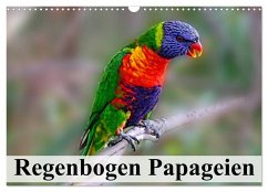 Regenbogen Papageien (Wandkalender 2024 DIN A3 quer), CALVENDO Monatskalender - Stanzer, Elisabeth