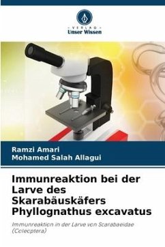Immunreaktion bei der Larve des Skarabäuskäfers Phyllognathus excavatus - Amari, Ramzi;Salah Allagui, Mohamed