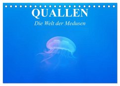 Quallen. Die Welt der Medusen (Tischkalender 2024 DIN A5 quer), CALVENDO Monatskalender
