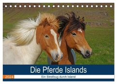 Die Pferde Islands - Ein Streifzug durch Island (Tischkalender 2024 DIN A5 quer), CALVENDO Monatskalender - Pantke, Reinhard