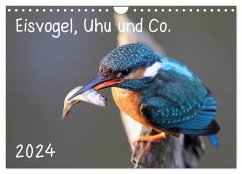 Eisvogel, Uhu und Co. (Wandkalender 2024 DIN A4 quer), CALVENDO Monatskalender