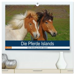 Die Pferde Islands - Ein Streifzug durch Island (hochwertiger Premium Wandkalender 2024 DIN A2 quer), Kunstdruck in Hochglanz
