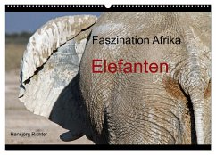 Faszination Afrika - Elefanten (Wandkalender 2024 DIN A2 quer), CALVENDO Monatskalender