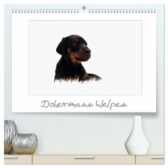 Dobermann Welpen (hochwertiger Premium Wandkalender 2024 DIN A2 quer), Kunstdruck in Hochglanz