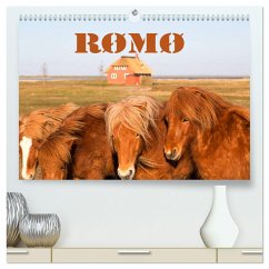 Rømø (hochwertiger Premium Wandkalender 2024 DIN A2 quer), Kunstdruck in Hochglanz