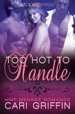 Too Hot to Handle: MMF Menage Romance (eBook, ePUB)