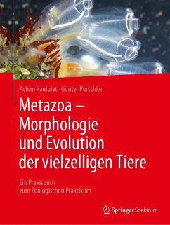 Metazoa - Morphologie und Evolution der vielzelligen Tiere (eBook, PDF) - Paululat, Achim; Purschke, Günter